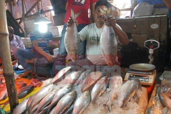 Hilsa price shoot up to Rs. 2500 per Kg : Poor condition of NH-44 and lack of labourers for Ramzan at the Indo-Bangla border for transportation has led to massive price hike in the state. Hilsa price shoot up to Rs. 2500 per Kg : Poor condition of NH-44 and lack of labourers for Ramzan at the Indo-Bangla border for transportation has led to massive price hike in the state.